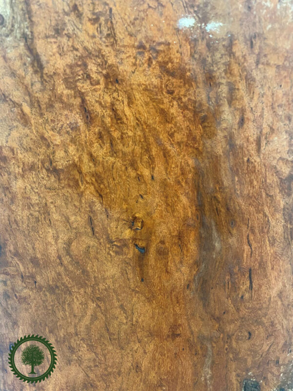 Live Edge Mesquite Wood Slab - Grain Detail ME-179-01
