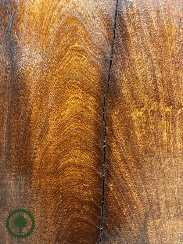 Live Edge Mesquite Wood Slab - Grain Detail ME-422-01