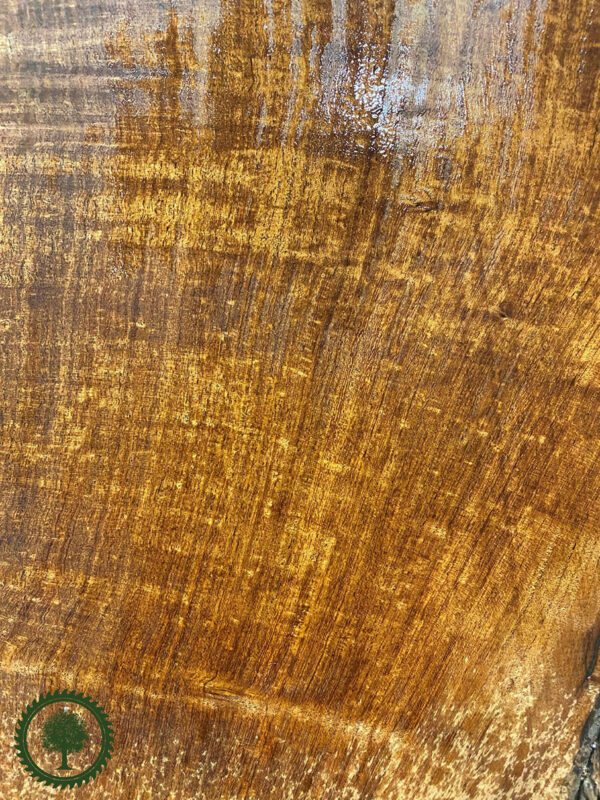 Live Edge Mesquite Wood Slab - Grain Detail ME-587-02