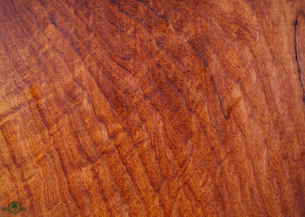Live Edge Mesquite Wood Slab - Grain Detail ME-611-03
