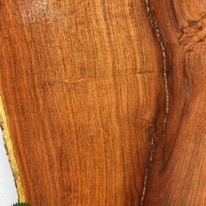 Live Edge Mesquite Wood Slab - Grain Detail ME-850-01