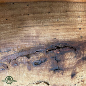 Live Edge Pecan Wood Fireplace Mantel PEM-080 Grain Detail