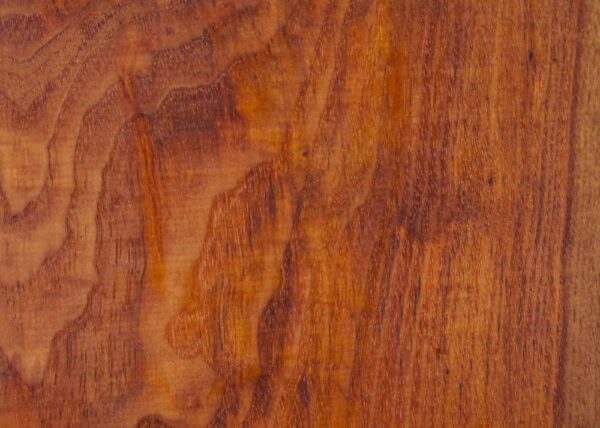 Live Edge Pecan Wood Slab - Grain Detail PE-605-01