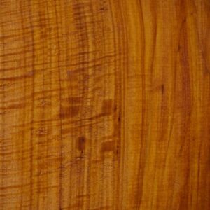 Live Edge Pecan Wood Slab - Grain Detail PE-609-01