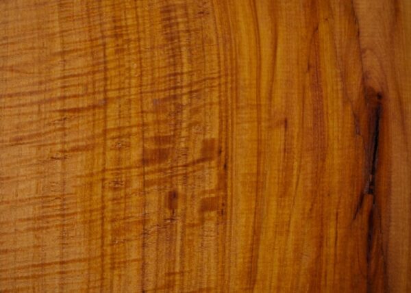 Live Edge Pecan Wood Slab - Grain Detail PE-609-01