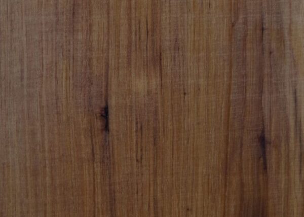 Live Edge Pecan Wood Slab - Grain Detail PE-684-03