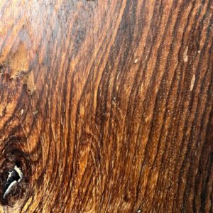 Live Edge Pecan Wood Slab - Grain Detail PE-751-08