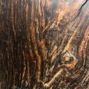Live Edge Pecan Wood Slab - Grain Detail PE-751-09