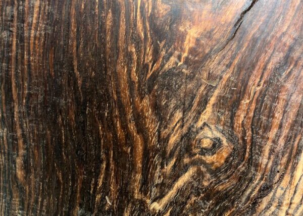 Live Edge Pecan Wood Slab - Grain Detail PE-751-09