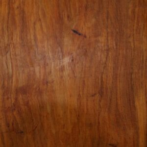 Live Edge Pecan Wood Slab - Grain Detail PE-800-02