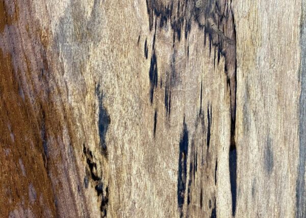 Live Edge Pecan Wood Slab - Grain Detail PE-805-02