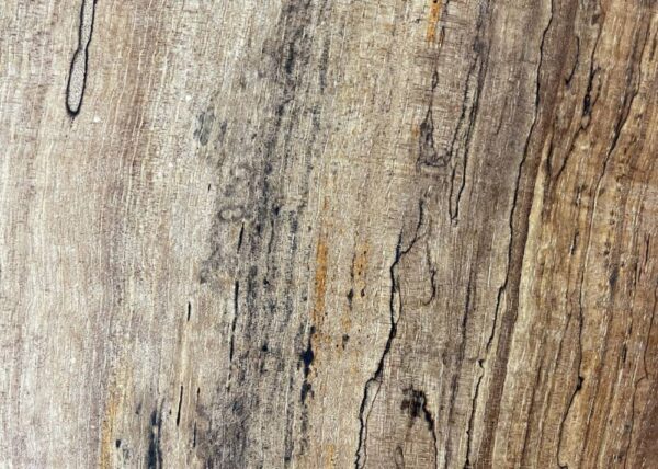 Live Edge Pecan Wood Slab -Grain Detail PE-805-05