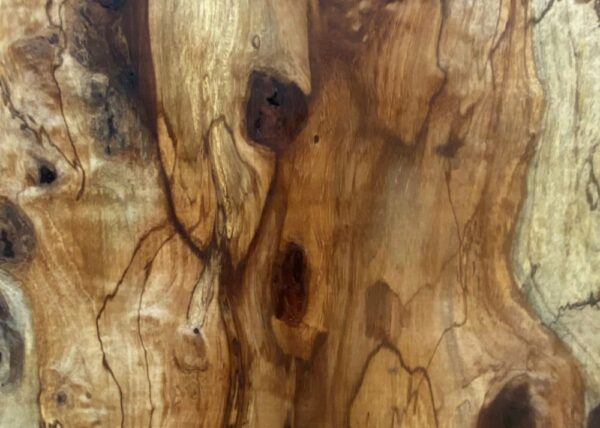 Live Edge Pecan Wood Slab - Grain Detail PE-810-02