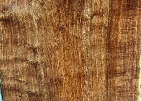Live Edge Mesquite Wood Slab - Grain Detail ME-012-01