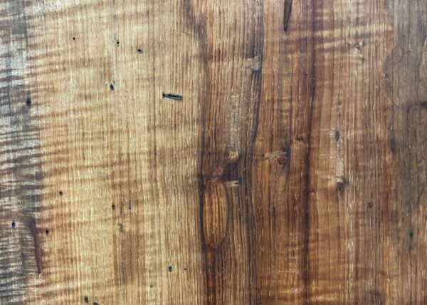 Live Edge Pecan Wood Slab - Grain Detail PE-683-04