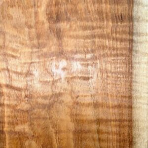 Live Edge Pecan Wood Slab - Grain Detail PE-828-01