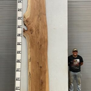 Live Edge Pecan Wood Slab - Back PE-386-01