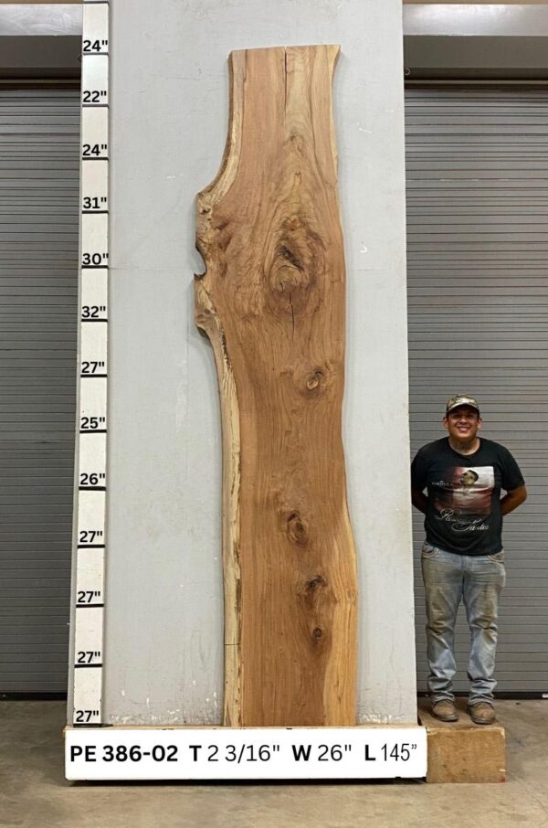 Live Edge Pecan Slab PE 386-02 - Image 2