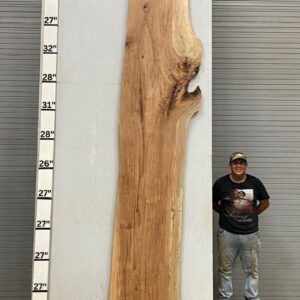 Live Edge Pecan Wood Slab - Front PE-386-01