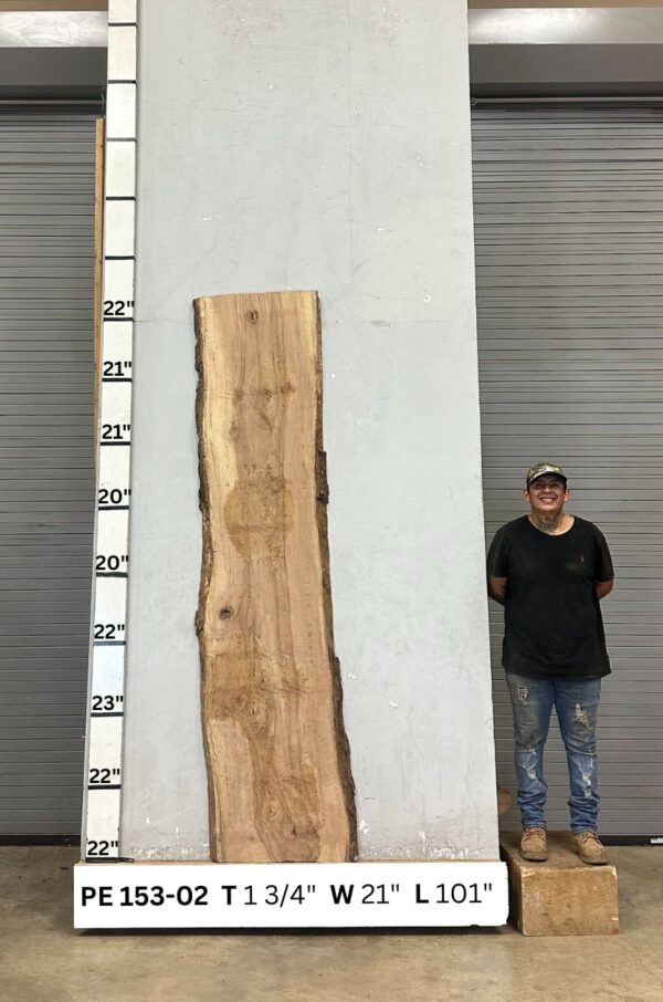 Live Edge Pecan Slab PE 153-02 - Image 2