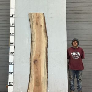 Live Edge Pecan Wood Slab - Back PE-158-06
