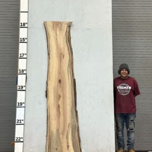 Live Edge Pecan Wood Slab - Back PE-160-02