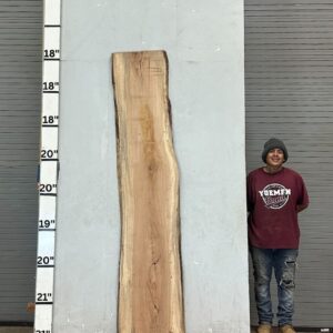 Live Edge Pecan Wood Slab - Back PE-161-04