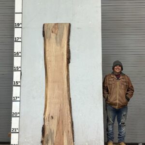 Live Edge Pecan Wood Slab - Back PE164-02