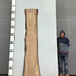 Live Edge Pecan Wood Slab - Back PE-333-01