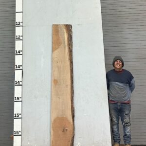 Live Edge Pecan Wood Slab - Back PE-337-01
