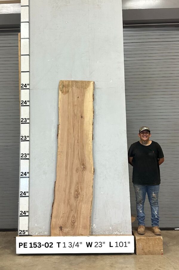 Live Edge Pecan Wood Slab - Front PE-153-02