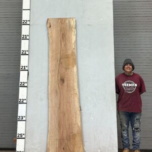 Live Edge Pecan Wood Slab - Front PE-159-01