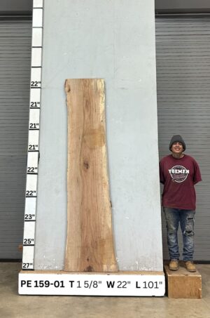 Live Edge Pecan Wood Slab - Front PE-159-01