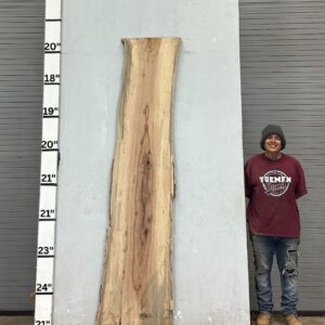 Live Edge Pecan Wood Slab - Front PE-160-02