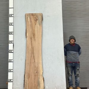 Live Edge Pecan Wood Slab - Front PE-164-02
