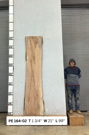 Live Edge Pecan Wood Slab - Front PE-164-02