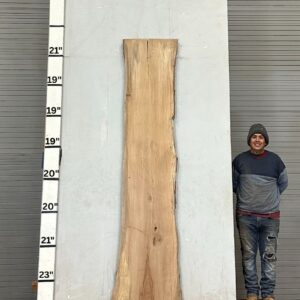 Live Edge Pecan Wood Slab - Front PE-333-01