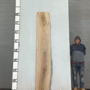 Live Edge Pecan Wood Slab - Front PE-336-01