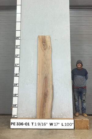 Live Edge Pecan Wood Slab - Front PE-336-01