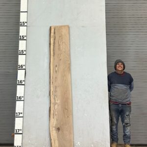 Live Edge Pecan Wood Slab - Front PE-337-01