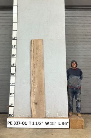 Live Edge Pecan Wood Slab - Front PE-337-01