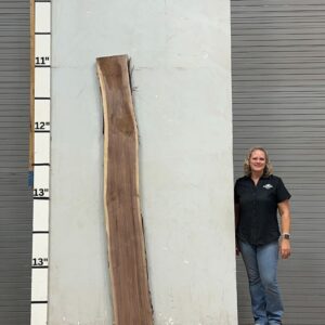 Life Edge Walnut Wood Slab - WA-009-01 Front