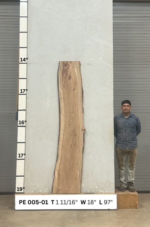 Live Edge Pecan Slab PE 005-01 - Image 2