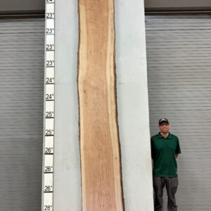 Live Edge Pecan Wood Slab - Back PE-612-01