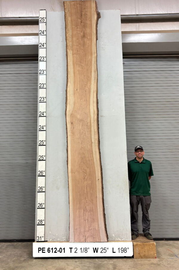 Live Edge Pecan Wood Slab - Back PE-612-01