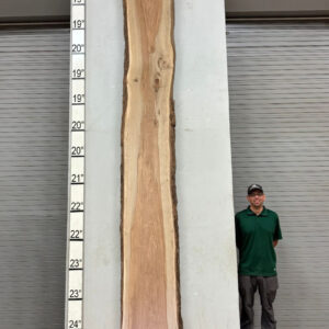 Live Edge Pecan Wood Slab - Back PE-612-02