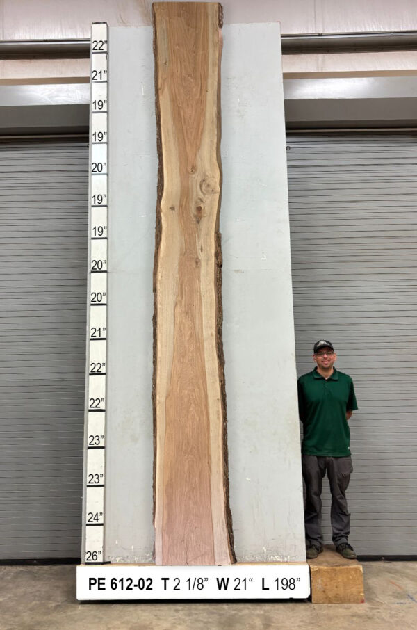 Live Edge Pecan Wood Slab - Back PE-612-02