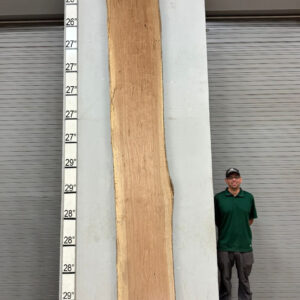 Live Edge Pecan Wood Slab - Front PE-612-07