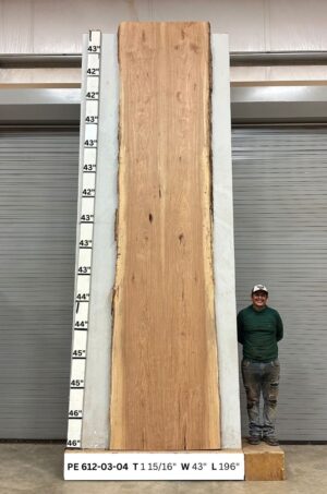 Live Edge Pecan Wood Slab Glue Up - Front PE-612-03-04