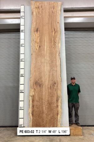 Live Edge Pecan Wood Slab Glue Up - Front PE-603-02